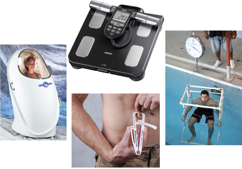 Body Fat Percentage Tools
